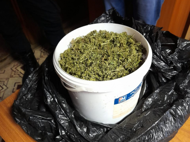 Жителю Тверской области грозит до 10 лет за хранение 234 граммов марихуаны