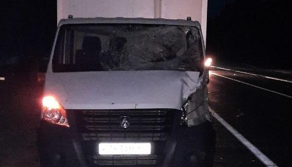 В Тверской области в ДТП с лосем пострадал водитель фургона 