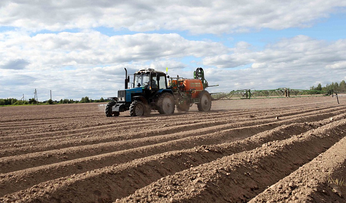 В 2022 году аграриям Тверской области выдали на развитие сельхозпроизводств более 3,8 млрд рублей льготных кредитов