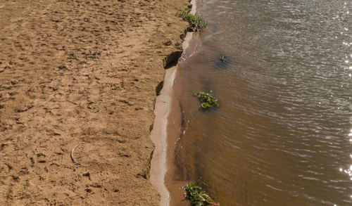 В Конаково состоится экологическая акция «Чистый берег»