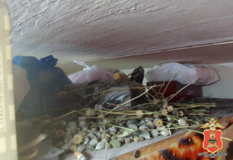Житель Тверской области хранил дома полкило мака