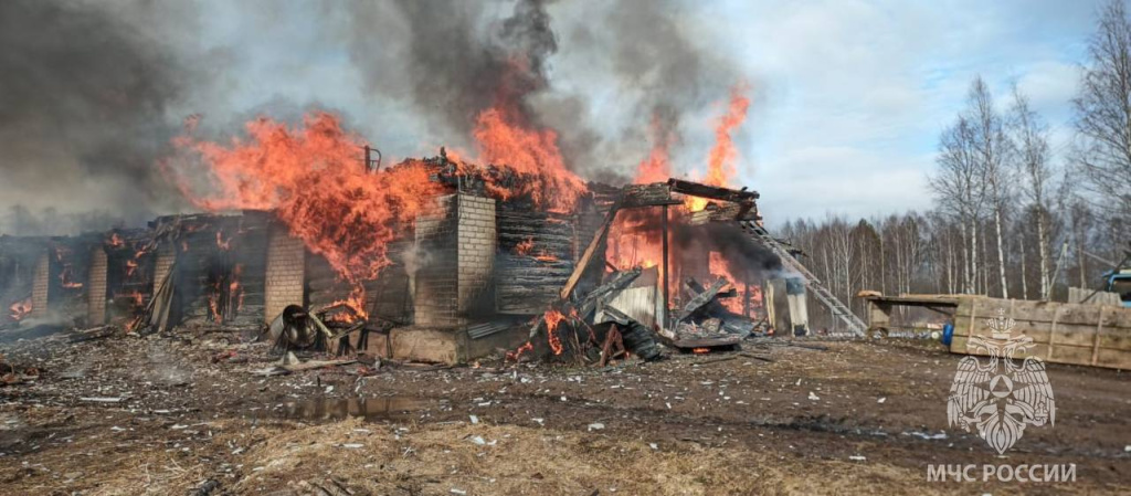 Животные погибли во время пожара на ферме в Тверской области