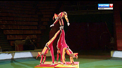Любительские цирковые коллективы приехали на тверской фестиваль