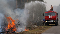 Усилия лесных пожарных приносят свои плоды