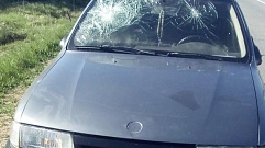 В Нелидово водитель сбил пешехода, пытаясь избежать столкновения с машиной