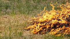С начала года в Тверской области ликвидировано 14 лесных пожаров