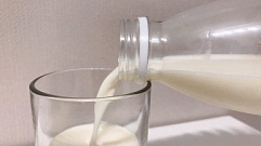 В Тверской области в молоке обнаружили растительные жиры 