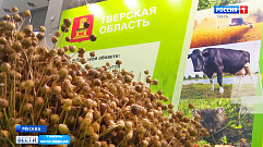 Тверская область принимает участие в агропромышленной выставке «Золотая осень»