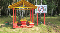 В Тверских лесах благоустроено 220 мест для отдыха