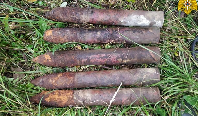В Тверской области нашли и обезвредили 60 взрывоопасных предметов