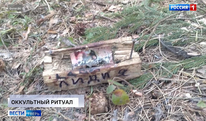 Слил 120 литров солярки, оккультный ритуал на кладбище: происшествия в Тверской области 21 апреля