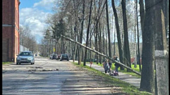 В Конаковском округе на 7-летнюю девочку упало дерево