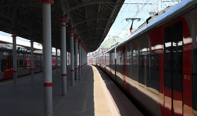 Скорые поезда в Тверской области задерживаются из-за ремонта моста 