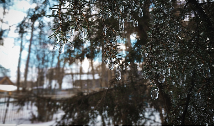 Морозы или глобальное потепление: синоптик рассказала о погоде в Тверской области