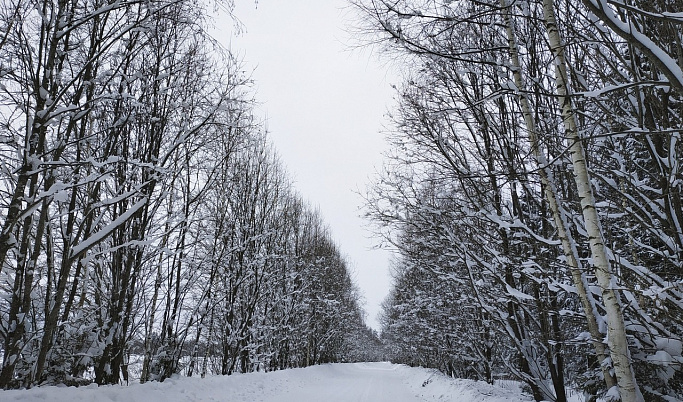 Последний день зимы в Тверской области будет снежным