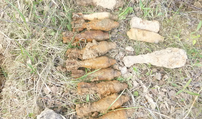В Зубцовском округе нашли 17 артиллерийских снарядов и миномётных мин