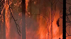 В Забайкалье площадь лесных пожаров за сутки выросла в два раза