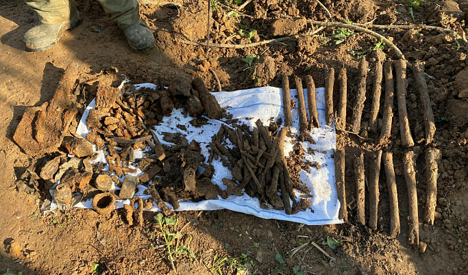 В Тверской области нашли останки трех красноармейцев