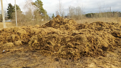 Фермеру Тверской области выписали штраф за сброс отходов в городе