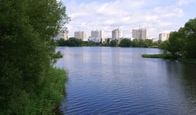 В Конаково в реку Донховка сбрасывают сточные воды