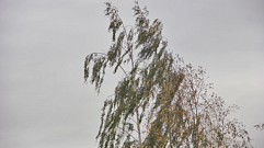 Гроза и ветер до 15 м/с: в западных районах Тверской области ухудшится погода