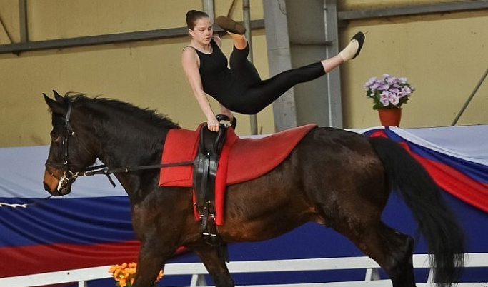 В Тверской области стартуют всероссийские соревнования по конному спорту