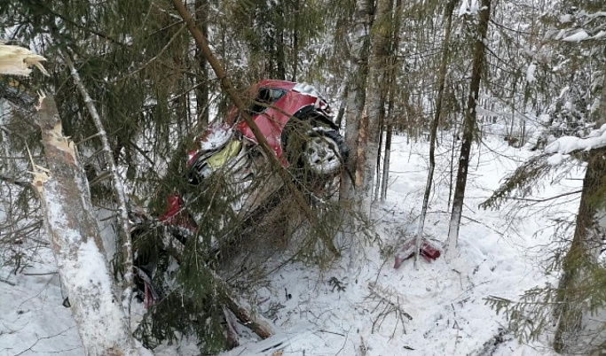 В Тверской области водитель «Сузуки» врезался в кювете в дерево и попал в больницу
