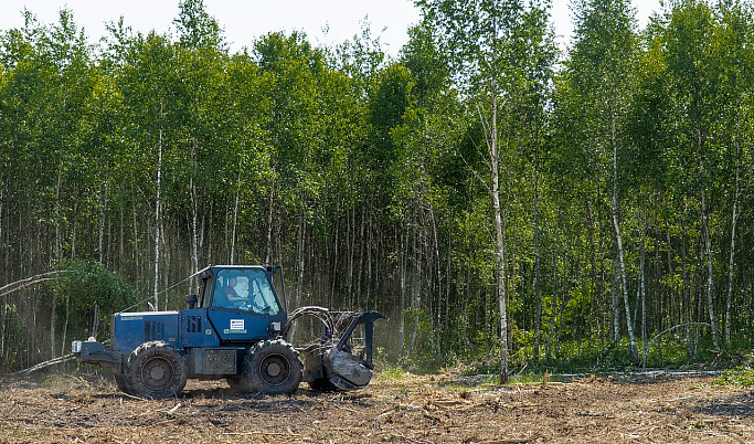 Более 990 гектаров неиспользуемой пашни ввели в оборот в Ржевском районе