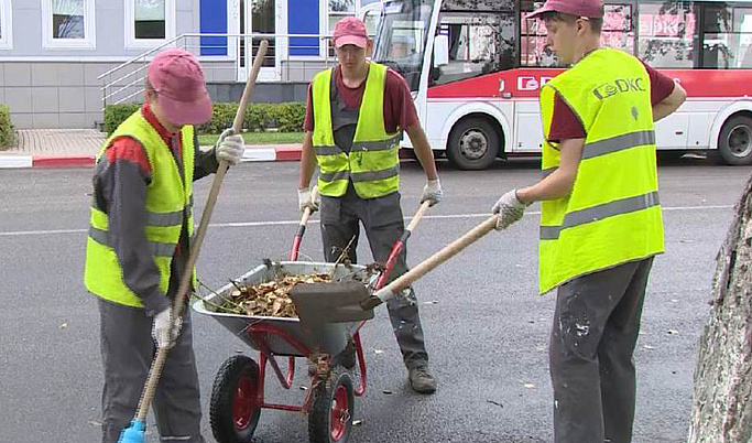 Почти 13 тысяч подростков получили трудовой опыт этим летом в Тверской области