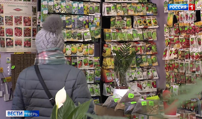 В Твери проверяют магазины, где продают семена