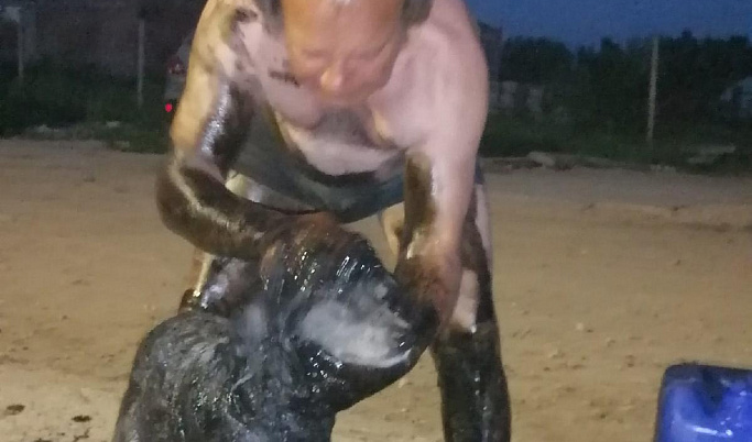В Тверской области две собаки провалились в колодец с мазутом