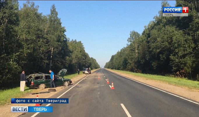 В ДТП в Нелидовском районе погибли два человека