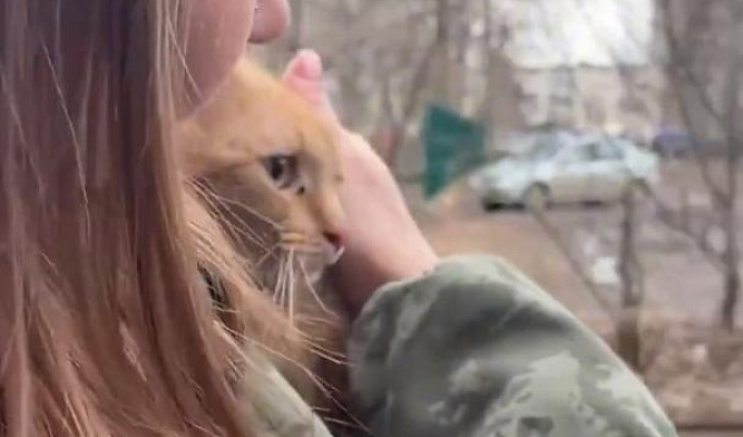 В Кимрах волонтеры ВПСО «Сова» помогли спасти кота