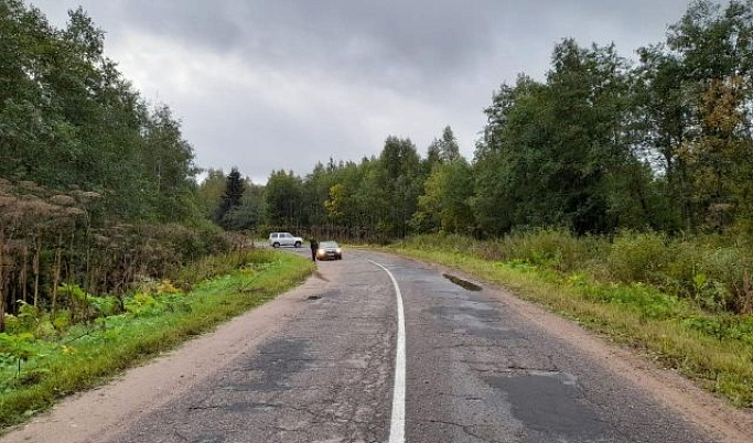 В Тверской области водитель насмерть сбил пешехода и сбежал