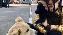 15 бездомных животных обрели дом на выставке-раздаче в Твери