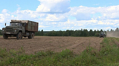 Уборка урожая в Тверской области идет полным ходом