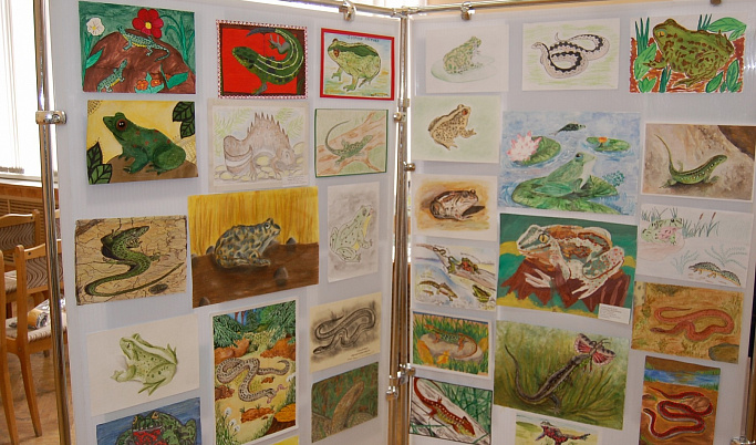 В Тверской области дети нарисовали 850 земноводных и пресмыкающихся