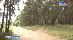 Новые ограничения для охотников утвердили в Тверской области