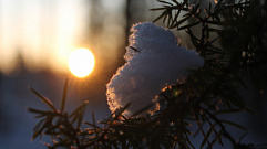В Тверской области сохраняется нетипично теплая для февраля погода