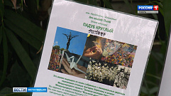 В Ботаническом саду ТвГУ увековечили память жертв трагедии в Хиросиме и Нагасаки