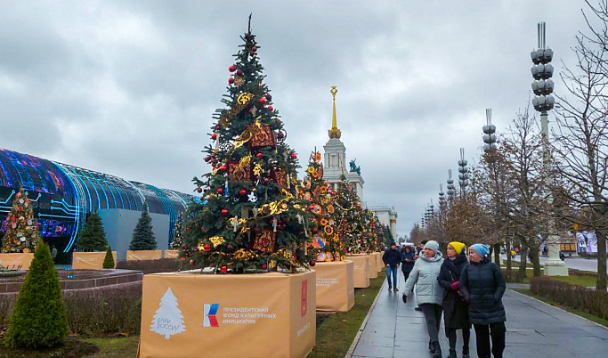 Новогодняя ель Тверской области украсила ВДНХ на Международной выставке «Россия»