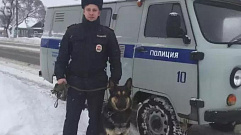 Собака привела полицейских прямо к дому вора в Тверской области