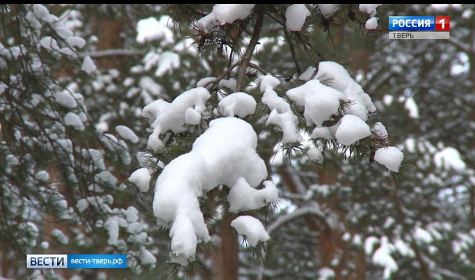 На Тверскую область движется сильный снегопад