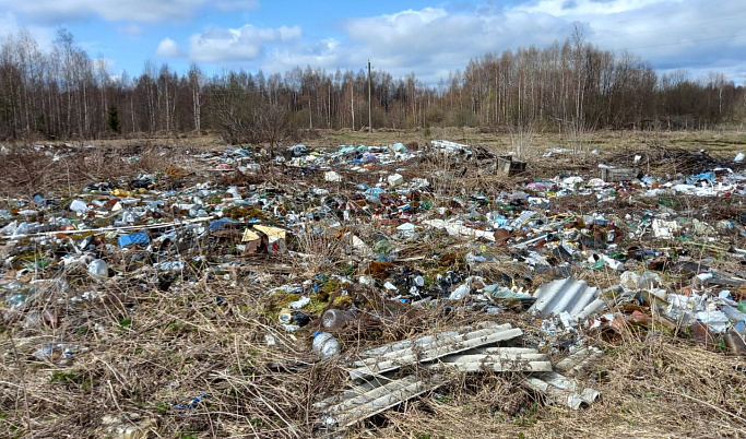 Крупную свалку строительных отходов ликвидировали в Калязинском районе 