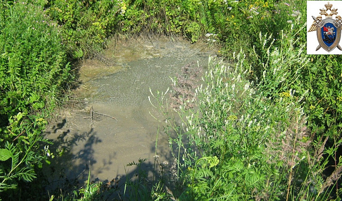 В Бежецке сточные воды загрязнили ручей