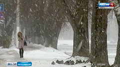 Циклон с сильным снегопадом, метелью и ветром стал причиной новых нарушений электроснабжения 