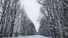 Последний день зимы в Тверской области будет снежным