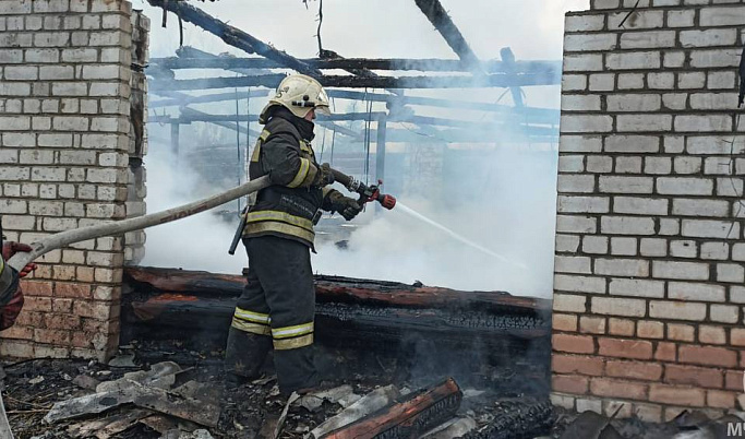 Животные погибли во время пожара на ферме в Тверской области