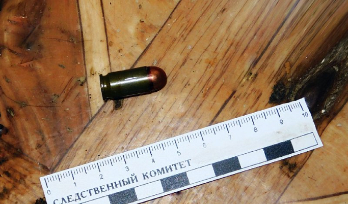 В Твери пьяная женщина застрелила своего собутыльника