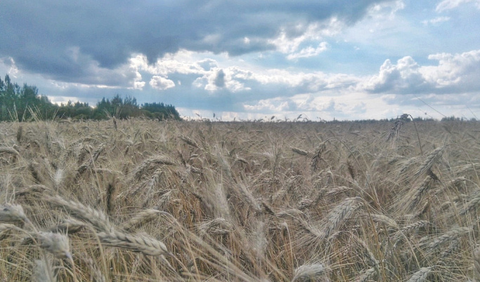 В Тверской области готовятся к весенним полевым работам